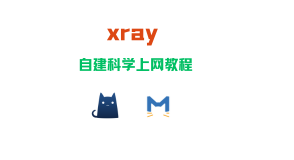 使用Xray自建科学上网服务器